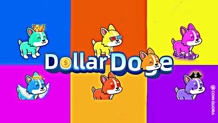 DollarDoge پیش فروش توکن را اعلام کرد و قصد دارد صنعت NFT را به مسیر جدیدی برساند.